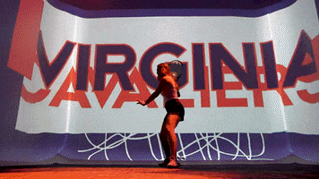 Uvawomenstennis GIF by Virginia Athletics