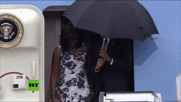 roqintriago  GIF