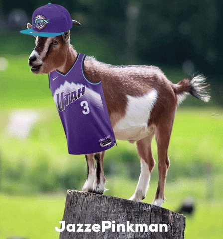 Utah Jazz Milk GIF