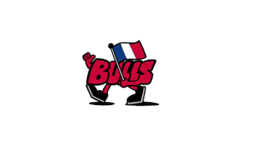 Chicago Bulls Nba Sticker by NEW ERA EUROPE