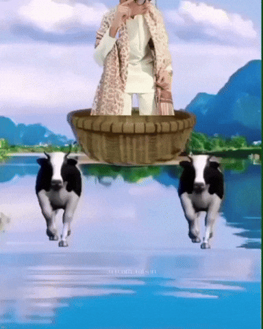 Rafsan Bahi GIF