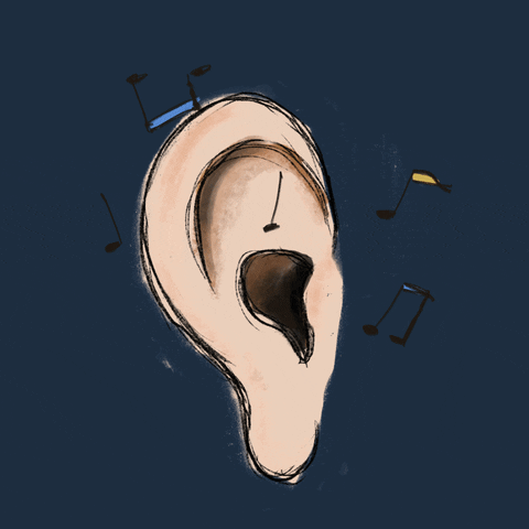 Sound Ear GIF