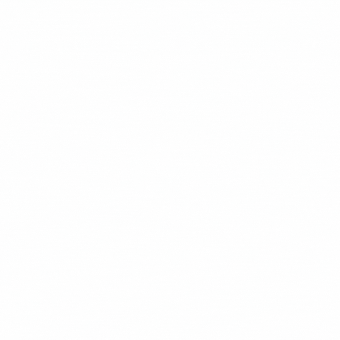 GIF by Technological University of the Shannon