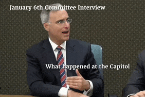 Jan 6 Hearing GIF by GIPHY News
