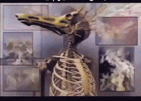 Iraqi Tea GIF