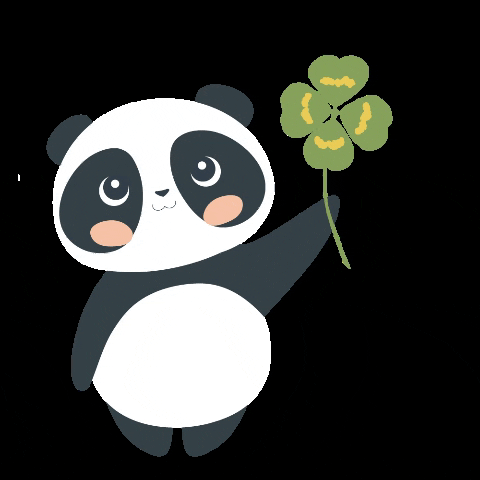 miapanda panda kleeblatt gluck glücksklee GIF