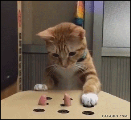 Whack A Mole GIFs - Get the best GIF on GIPHY