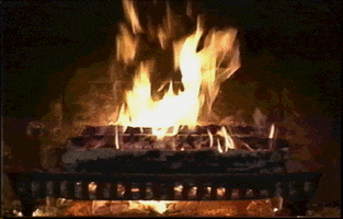 yule log fire GIF
