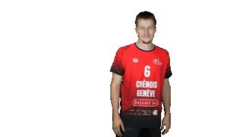Chenois Sticker by CS Chênois Genève Handball