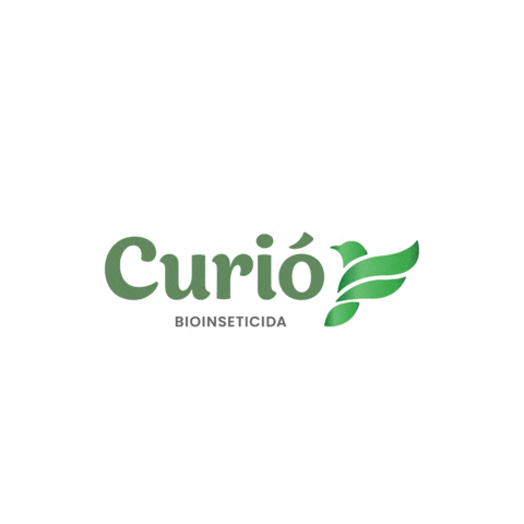 Curio Sticker by AgRoss