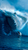 Megalodon GIFs - Find & Share on GIPHY