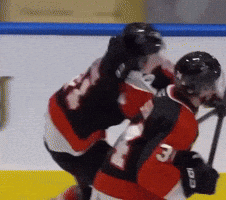 Whl GIF