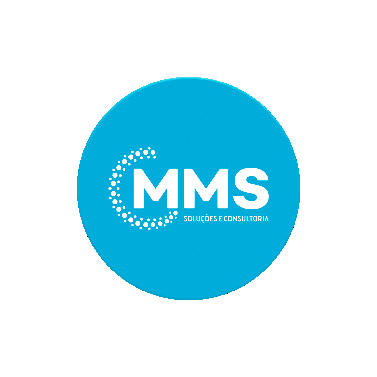 MMS Soluções e Consultoria Sticker