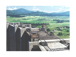 snk