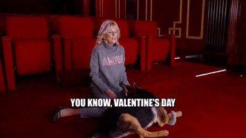 Valentines Day Love GIF by Puppy Bowl