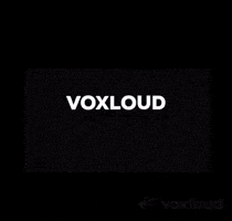 Phone Centralino GIF by Voxloud