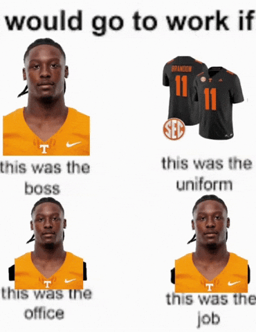 Tennessee Volunteers GIF