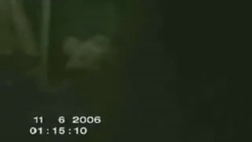 The Rake GIF