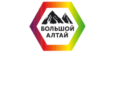 New Year Новый Год Sticker by bigaltai