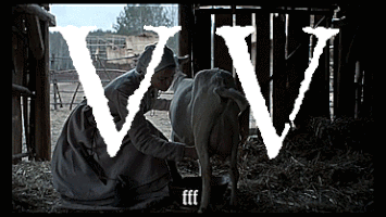 The Witch Film GIF