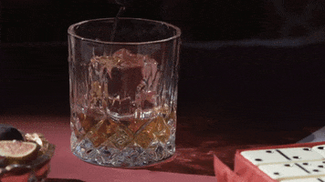 On The Rocks Party GIF by Ilegal Mezcal
