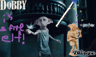 dobby 17