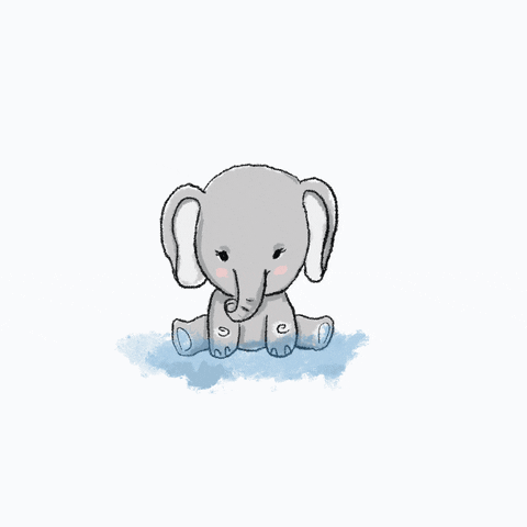 Babyelephant GIFs - Get the best GIF on GIPHY