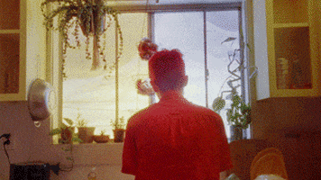 200.gif?cid=fc005b0869b9dae4d93360b4421f16ad3d7849195fe79e05&rid=200.gif&ct=g
