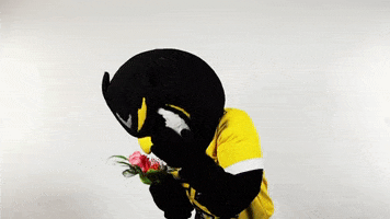 Flowers Kennesawstate GIF by Kennesaw State University