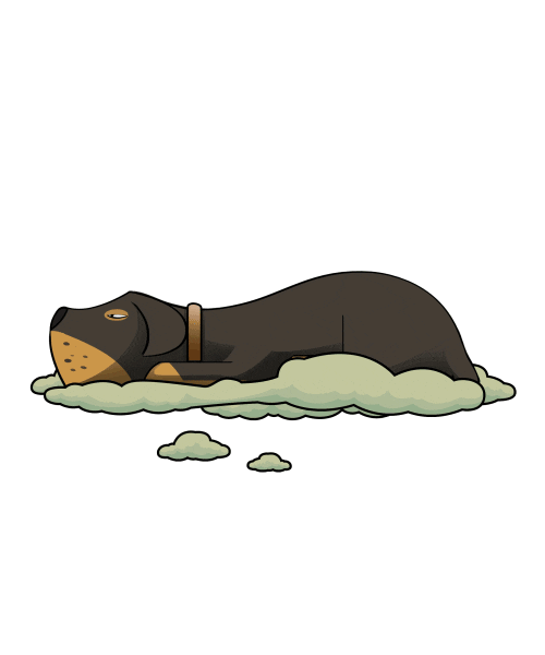 Dogs Sticker by Unfold Agency for iOS & Android GIPHY