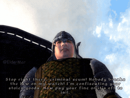 Elder Scrolls Face GIF