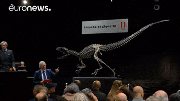 euronews dinosaur auction euronews GIF