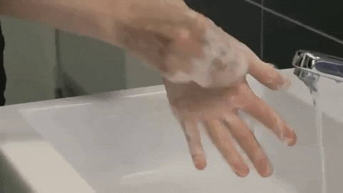 Washes hands GIFs - Get the best GIF on GIPHY