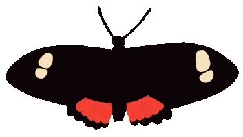 Butterfly Gm Sticker