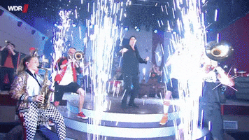 party finale GIF by WDR