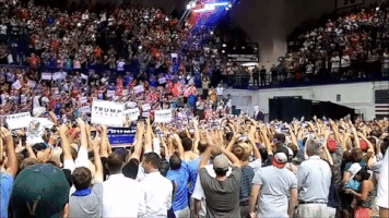 elizabethmontgomery  GIF