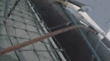 farkers  GIF