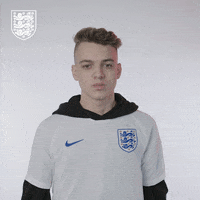 Three Lions Football GIF by England