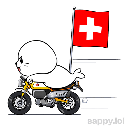 Lets Go Football GIF by Sappy Seals