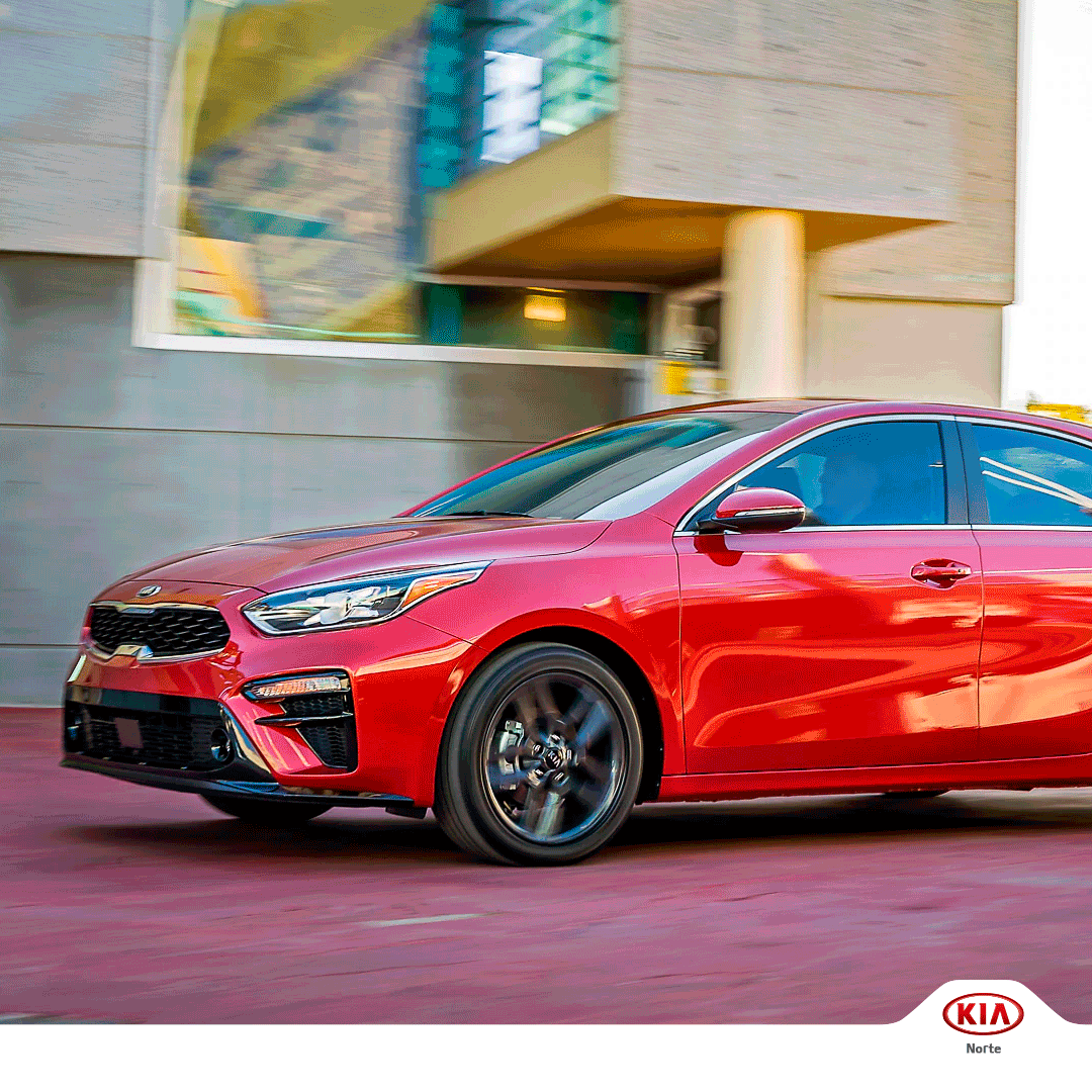 Kia Kiamotors GIF by Social33MX Find & Share on GIPHY