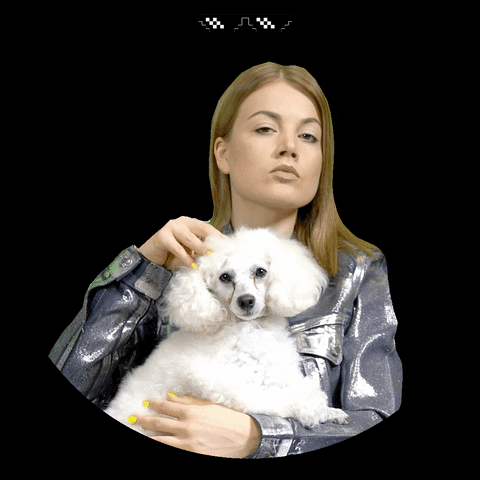 Dog GIF by SuperPark Finland