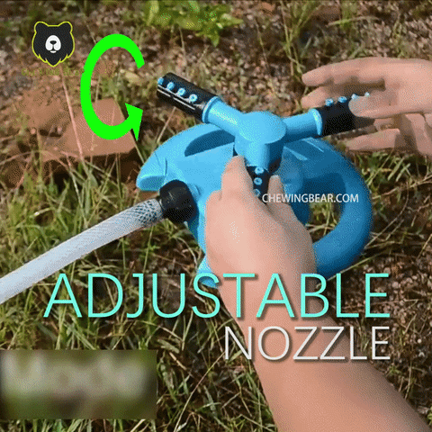 Animated GIF