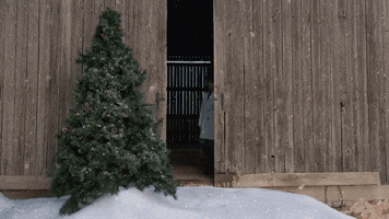 Hallmark Movies And Mysteries Miracles Of Christmas GIF by Hallmark Mystery