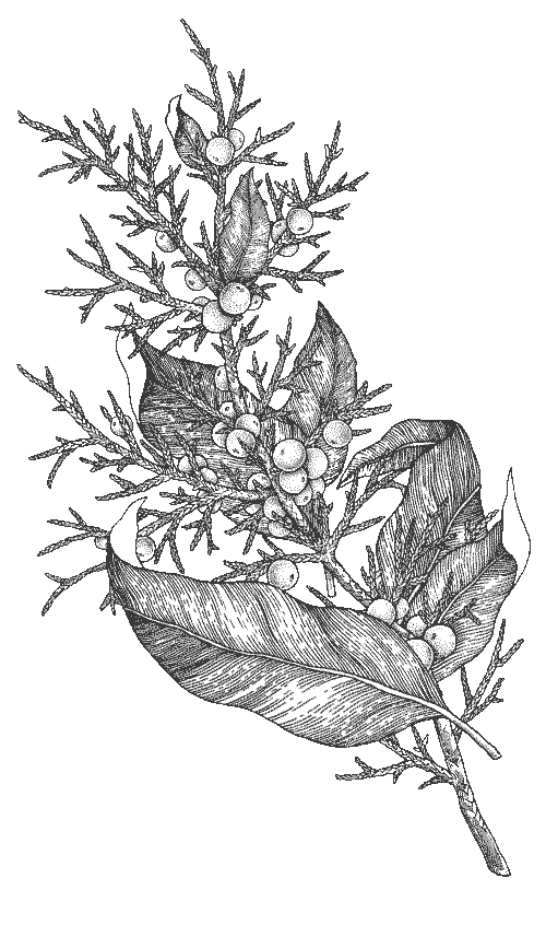 Sticker by Waterloo Gin