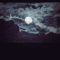 Full Moon Night GIF by Robert Matejcek