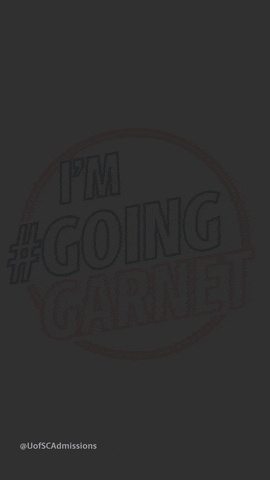 University of South Carolina Admissions GIF