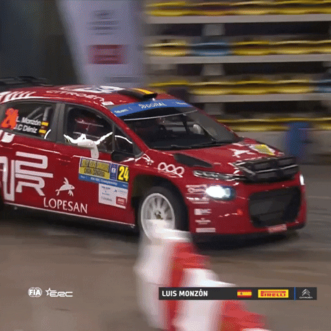 Car Fail GIF by FIA European Rally Championship