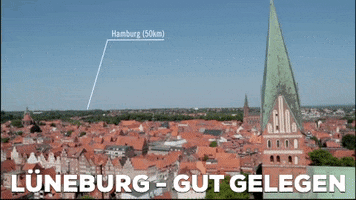 Altstadt Luneburg GIF by Leuphana Universität Lüneburg