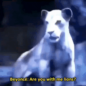 giphy.gif?cid=8fc3c8975d3b6d224461526145