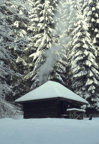 Winter Solstice Fire GIF